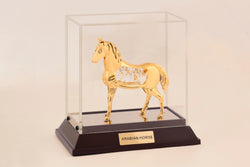 ARABIAN HORSE IN CABINET