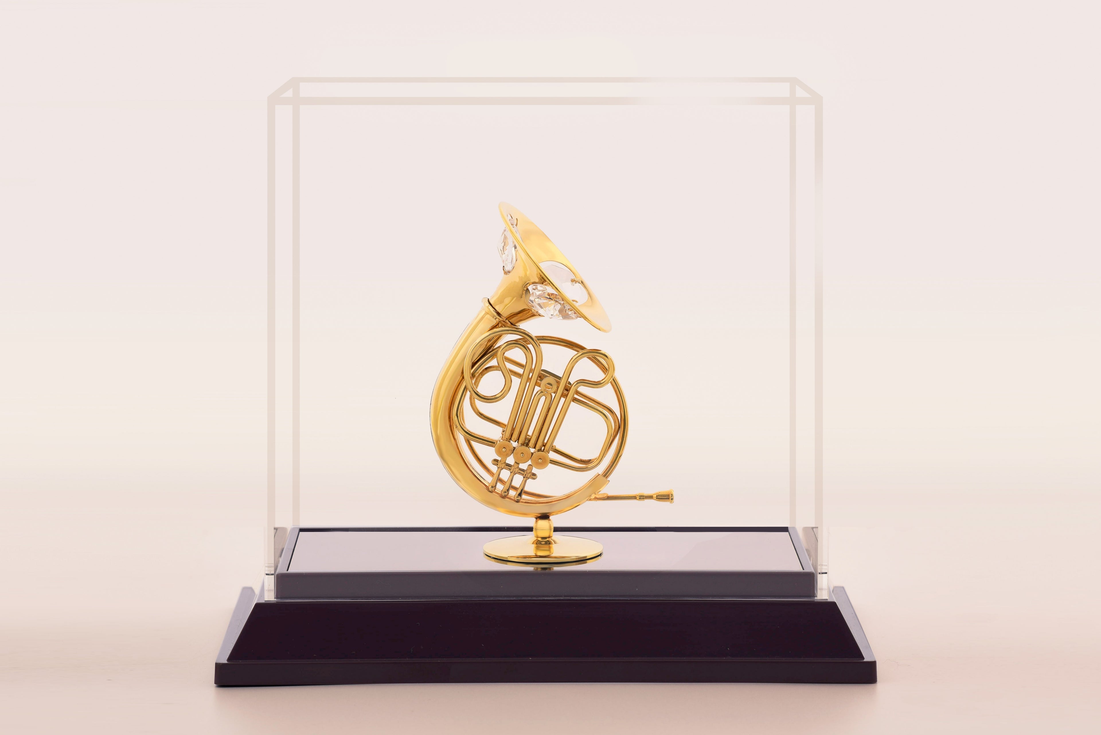 FRENCH HORN  IN CABINET