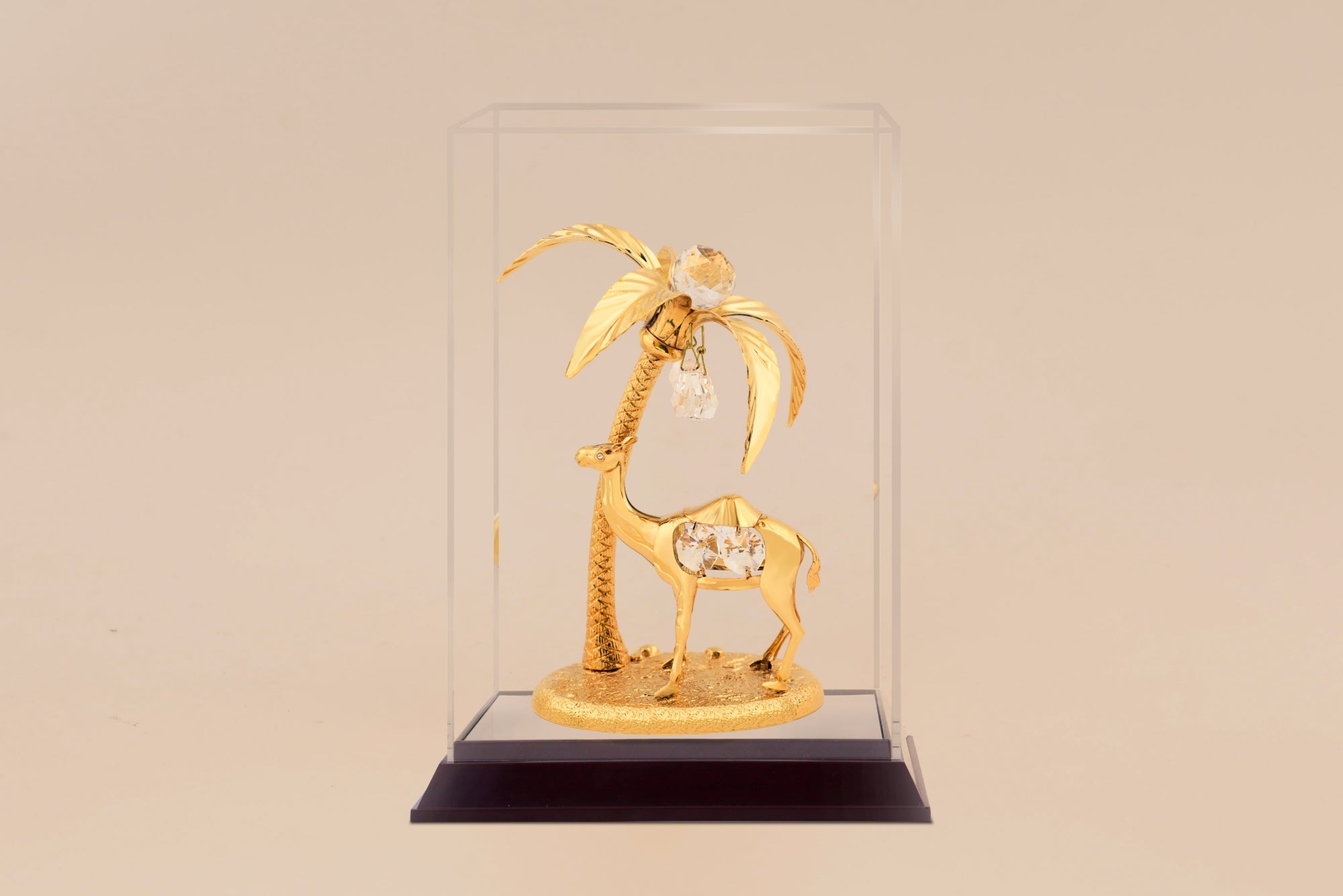 PALM TREE & CAMEL IN CABINET