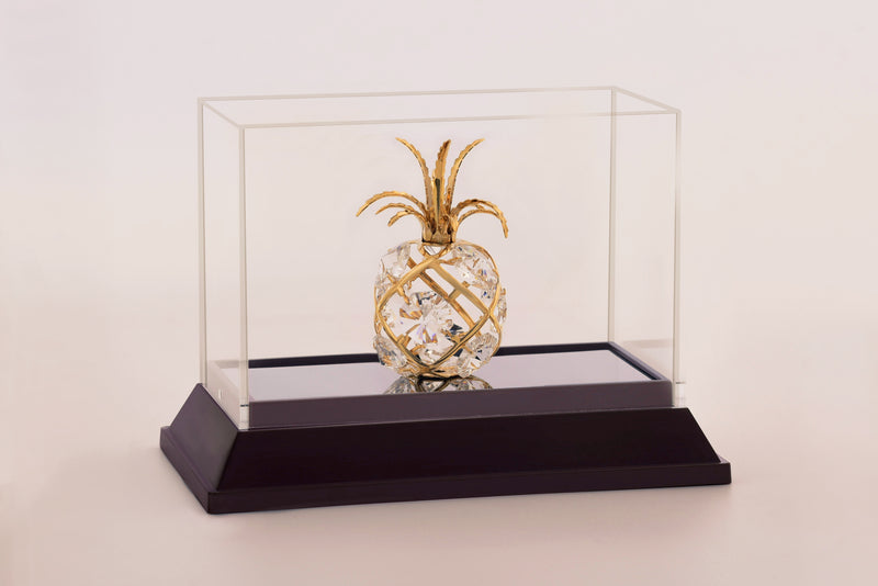 PINEAPPLE (MINI) IN CABINET