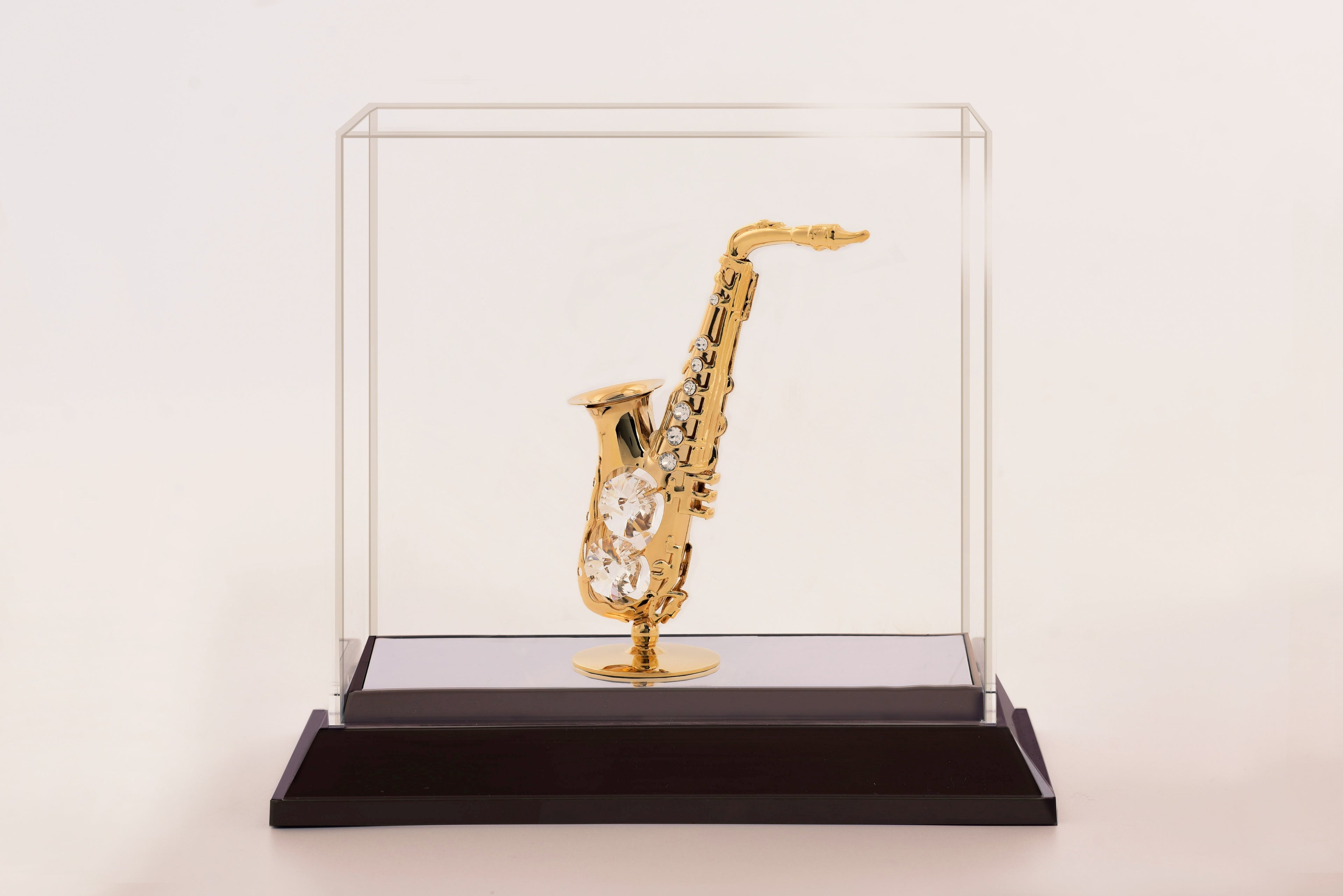 SAXOPHONE  IN CABINET