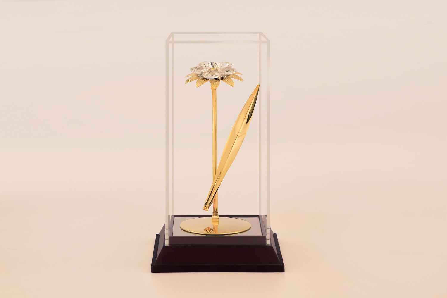 SUNFLOWER (SPECIAL) IN CABINET