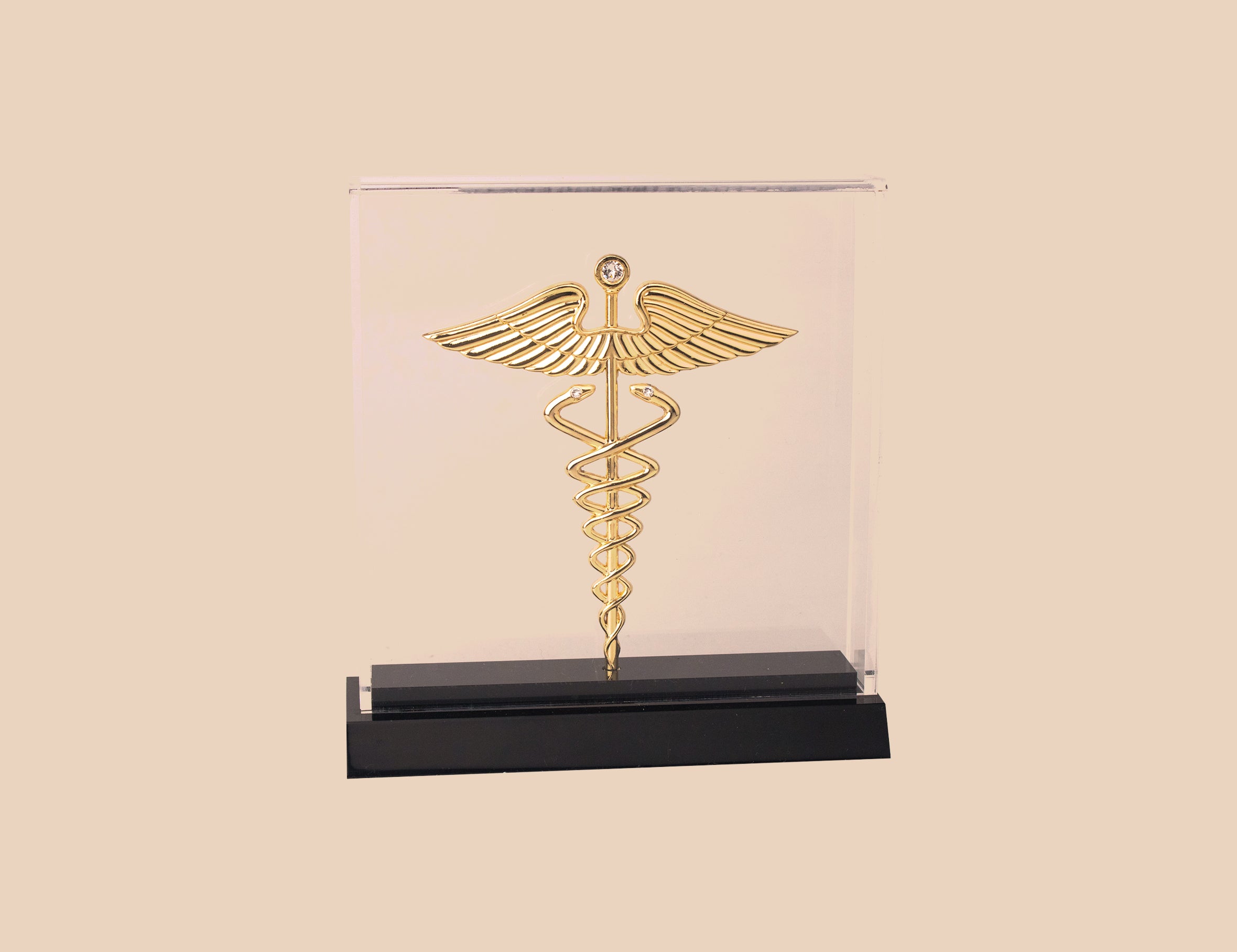 SYMBOL OF MEDICINE WITH MINI CABINET
