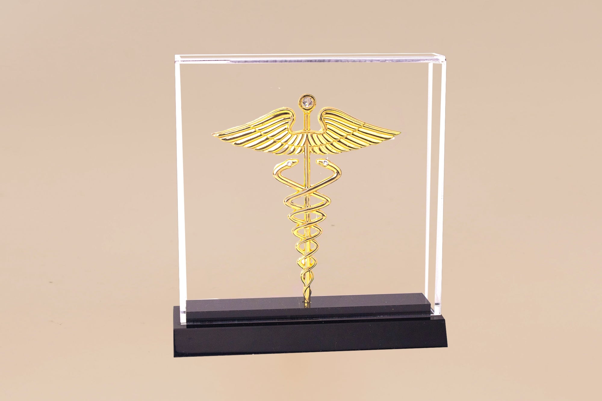 SYMBOL OF MEDICINE WITH MINI CABINET