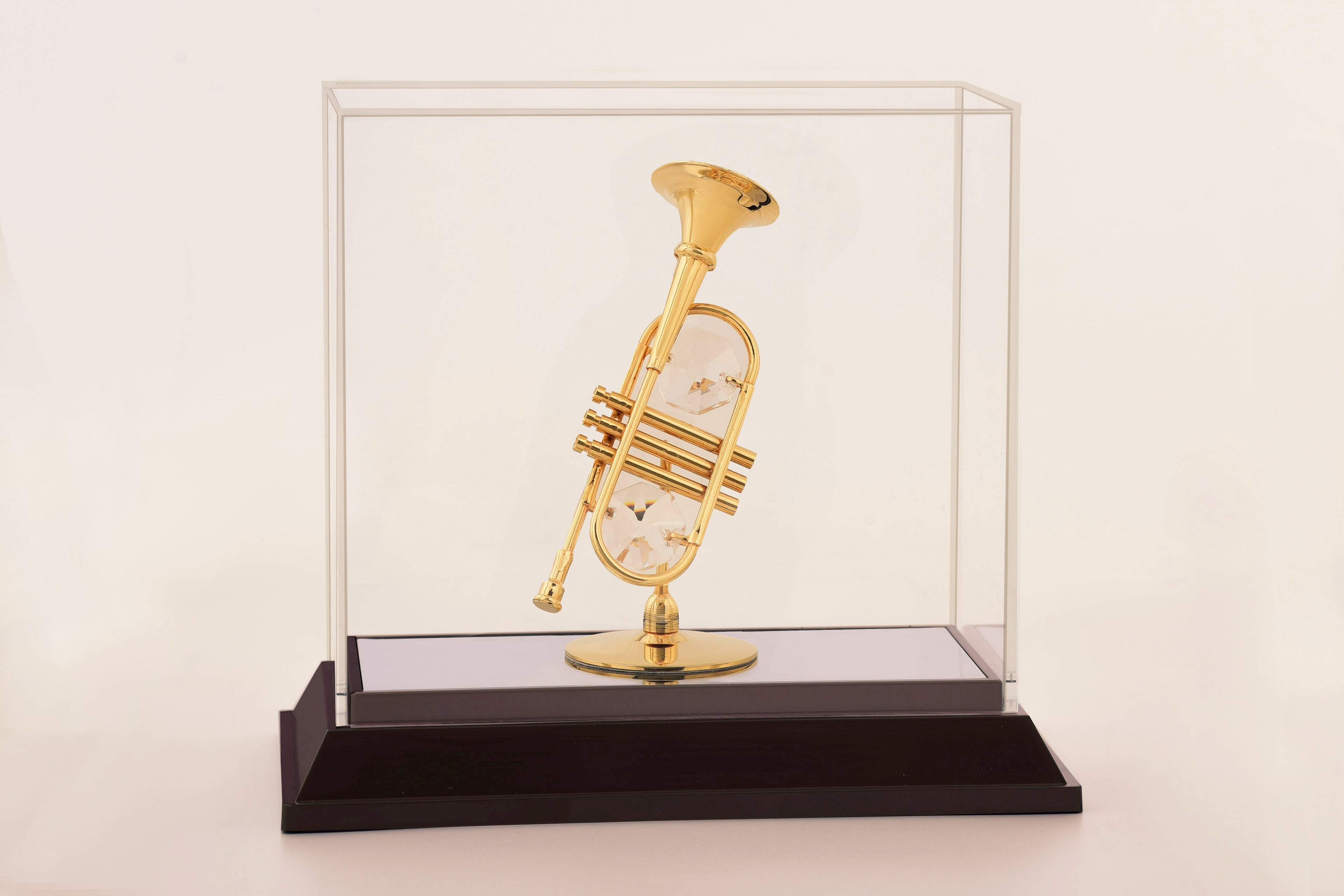 TRUMPET  IN CABINET