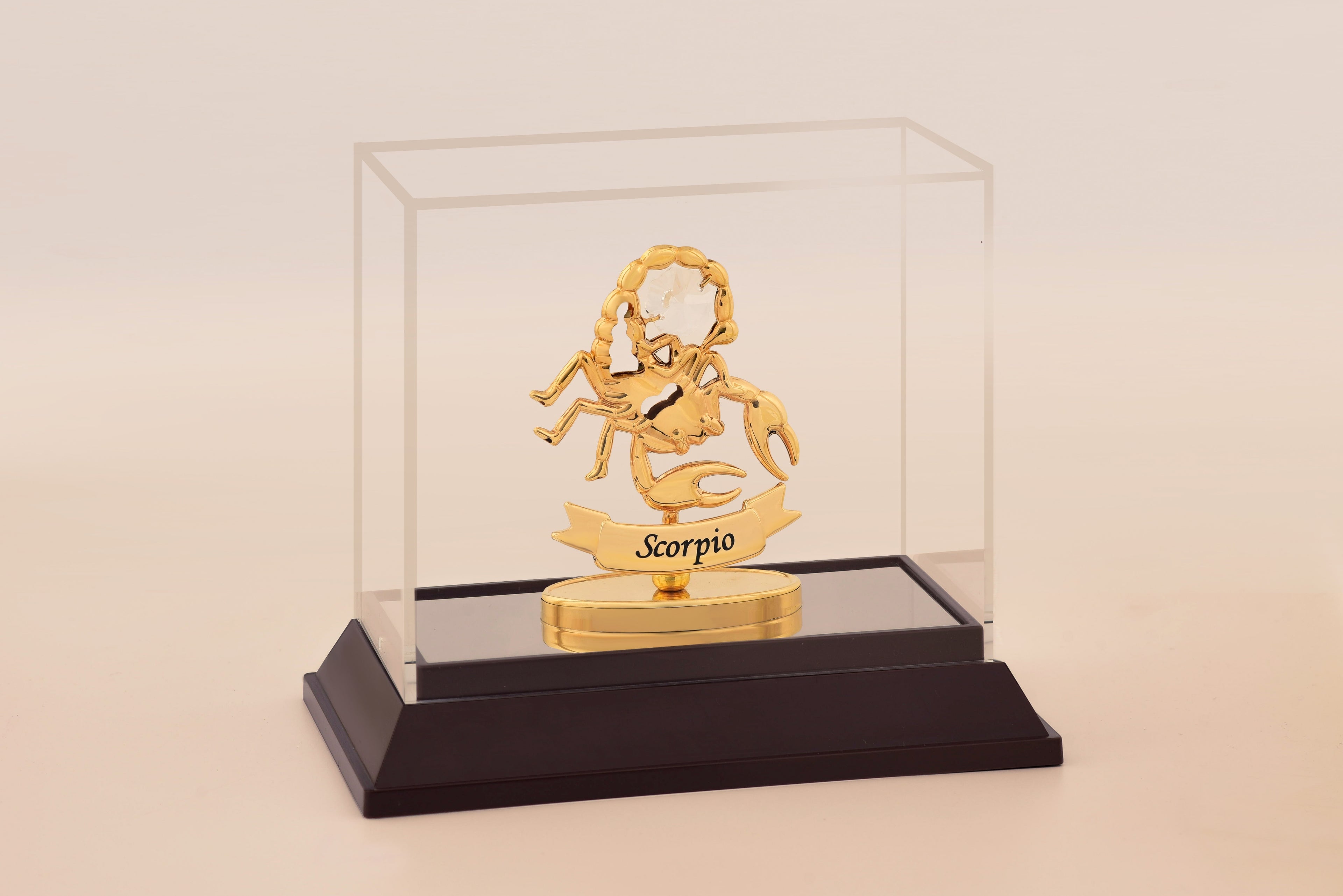 ZODIAC SIGNS BIG (SCORPIO)